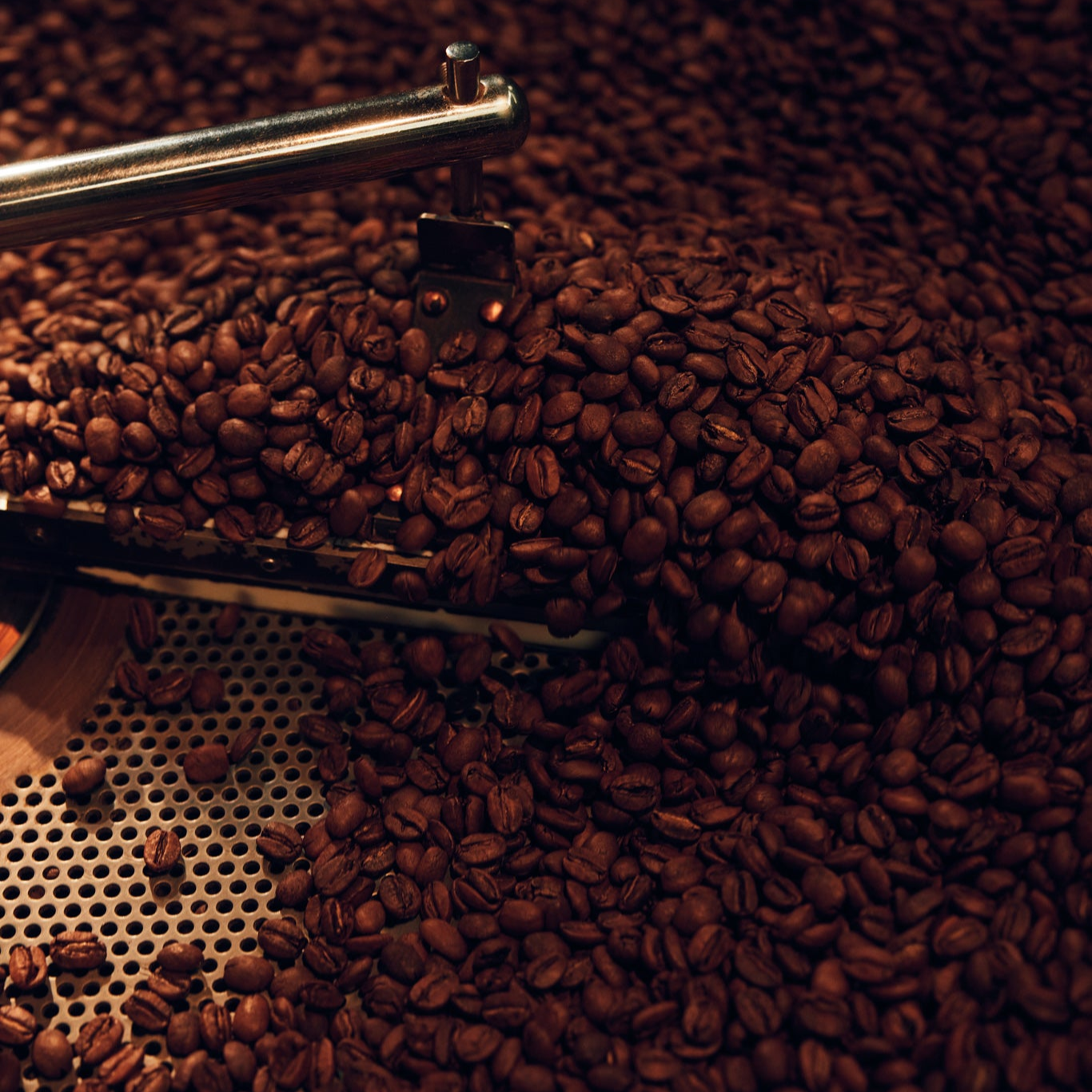 MORNINGTON BLEND