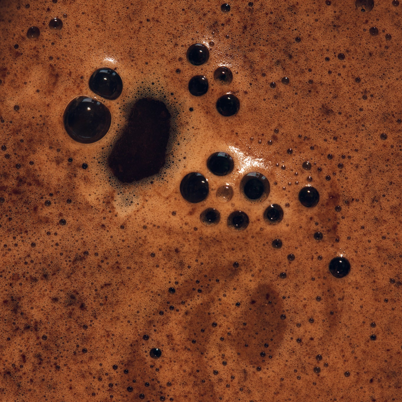 MORNINGTON BLEND